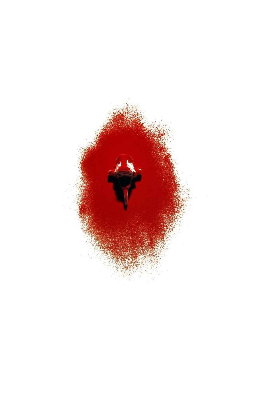 ROJO, 2015. fotografía digital. 21x29,7cm